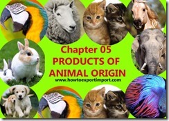 Chapter 05 PRODUCTS OF ANIMAL ORIGIN