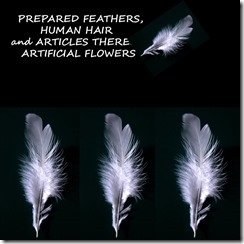 67 PREPARED FEATHERS