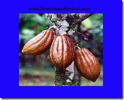 GST payable for sale of Cocoa and Cocoa preparations GST payable for sale of Cocoa and Cocoa preparations