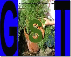 GST rate for Vegetable Plaiting Materials GST rate for Vegetable Plaiting Materials