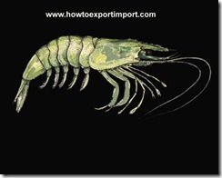 GST rate for preserved meat, fish, crustaceans etc. GST rate for preserved meat, fish, crustaceans etc.