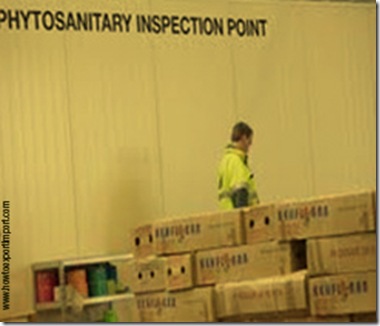 Office to contact Phytosanitary inspection in India