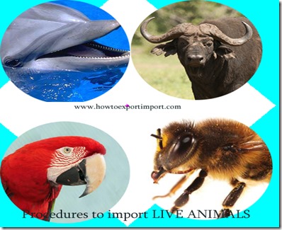 Documents to import live animals