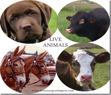 How to import Live Animals
